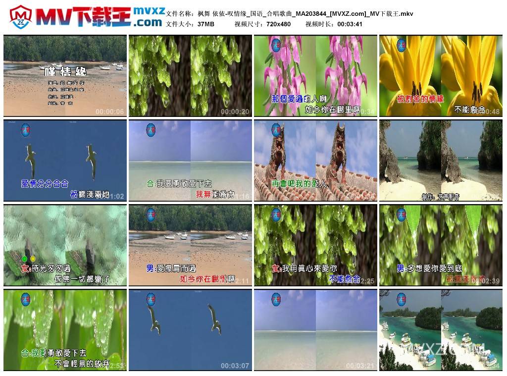 枫舞 依依-叹情缘_国语_合唱歌曲_MA203844